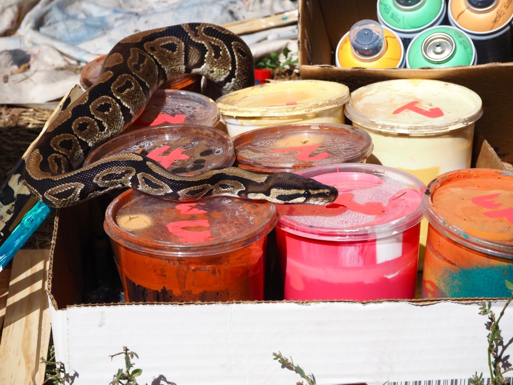 A snake crawls over containers of paint