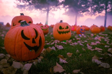 Things to Do in Denver This Weekend