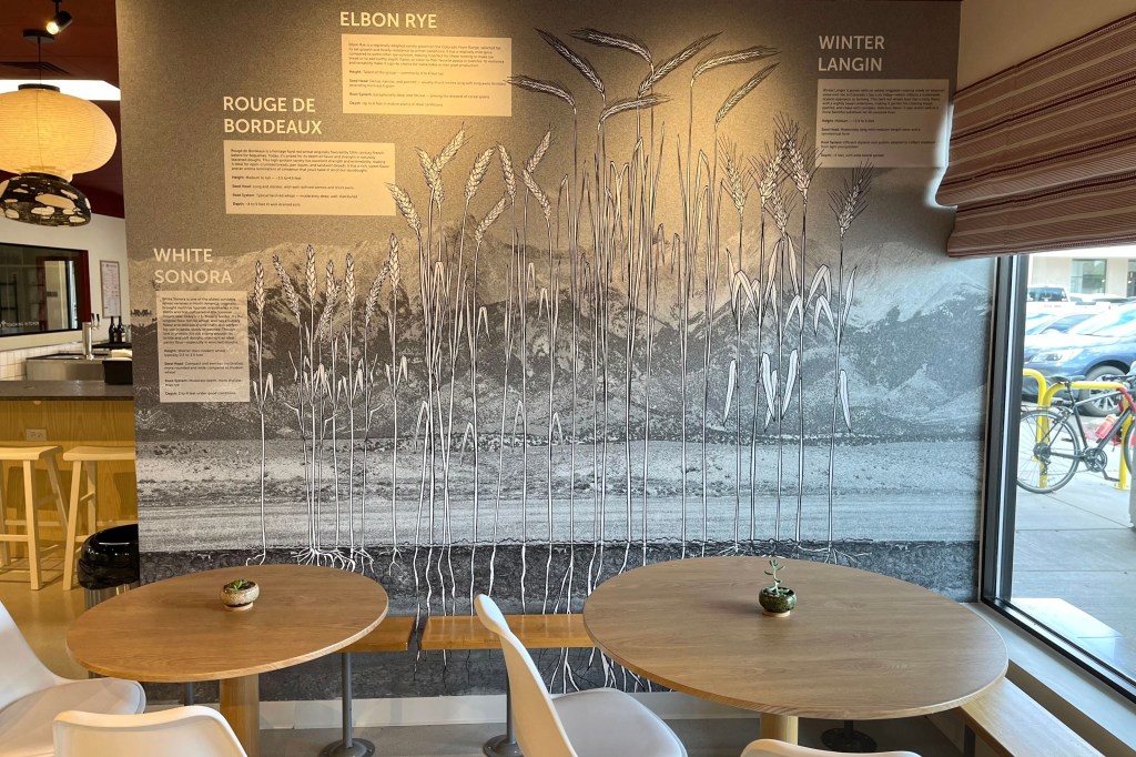 A mural within Rebel Bread depicting Colorado-grown grains