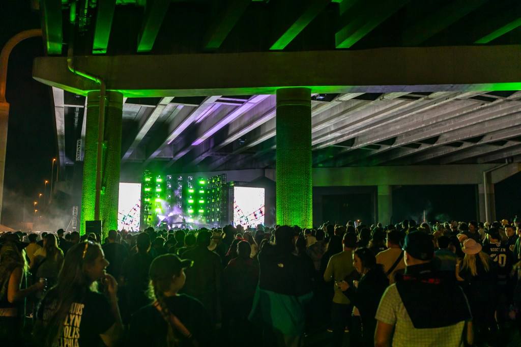 Concertgoers at Project 70: Under The Bridge