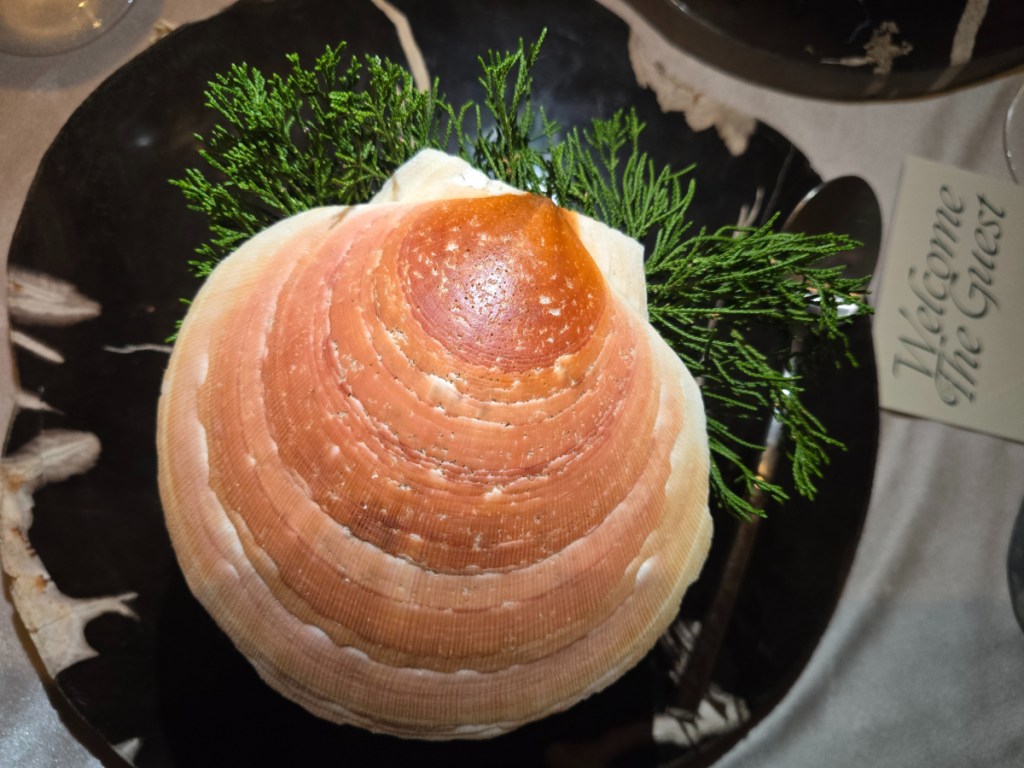 a scallop shell on a plate