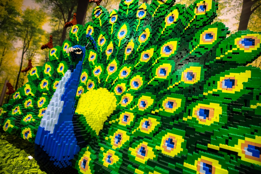 A LEGO peacock