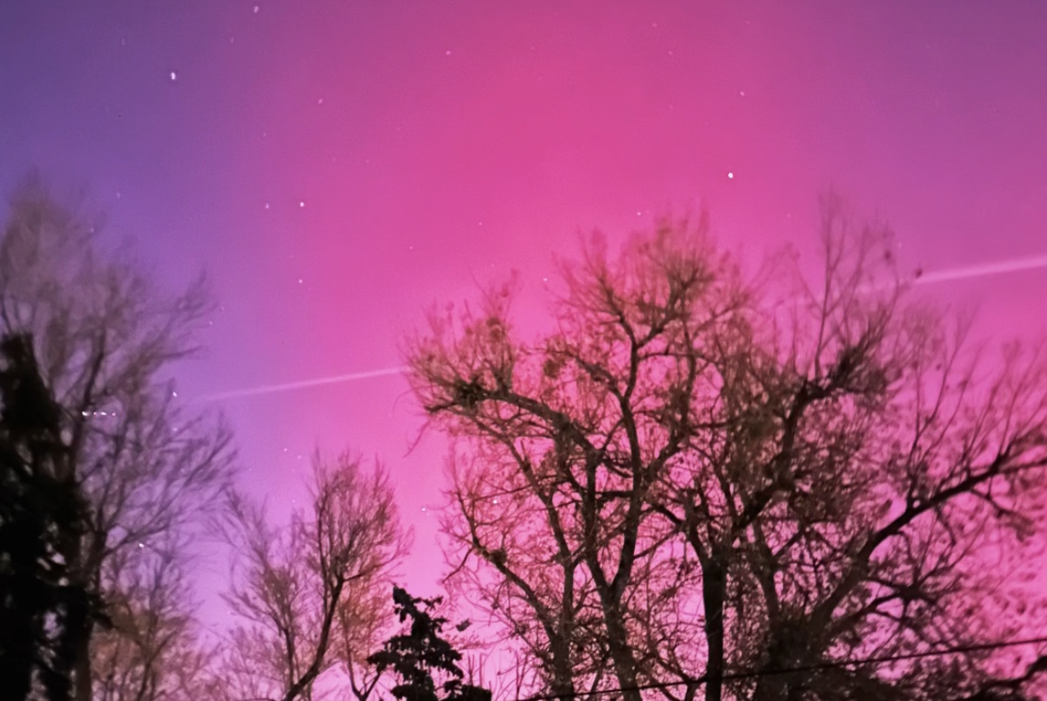 northern lights over trees in Denver