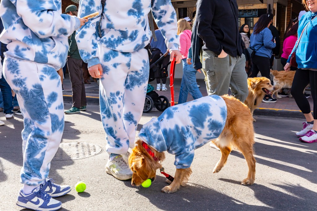 A photo of a dog and two people in matching outfits during the annual Golden's in Golden event.