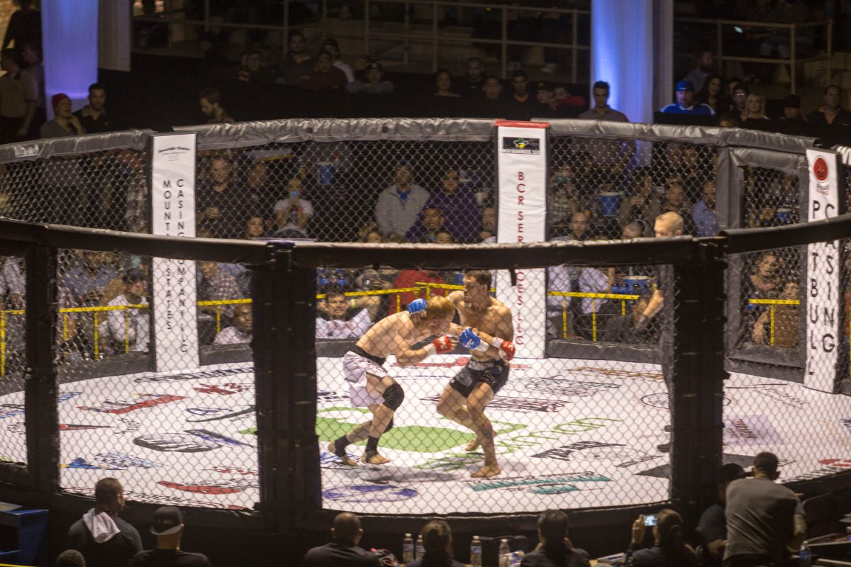 MMA fighters in octagon