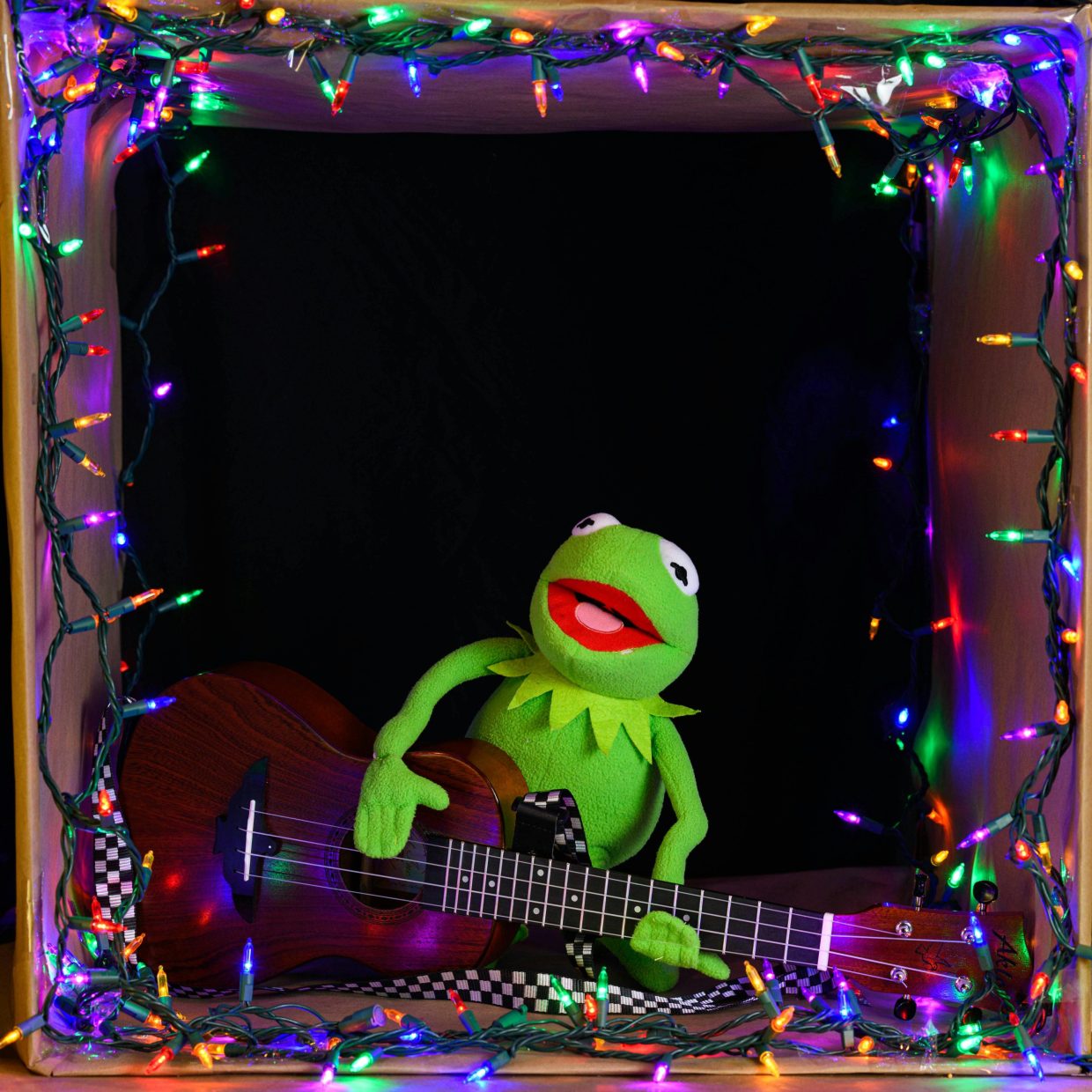 kermit the frog with a guitar