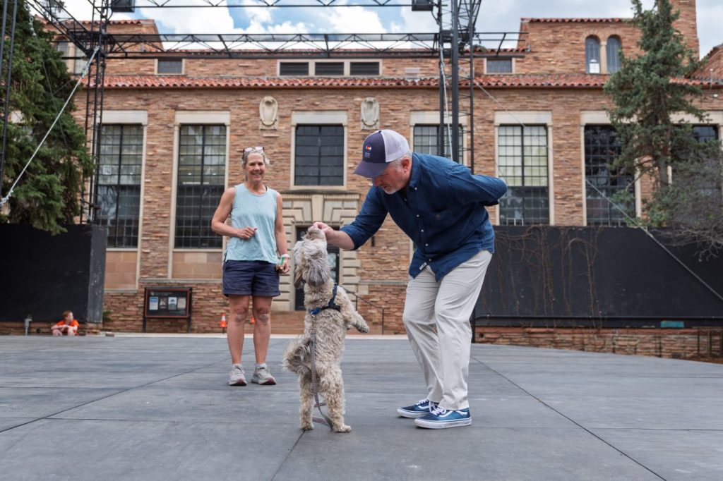 Dog auditions on an outdoor stage
