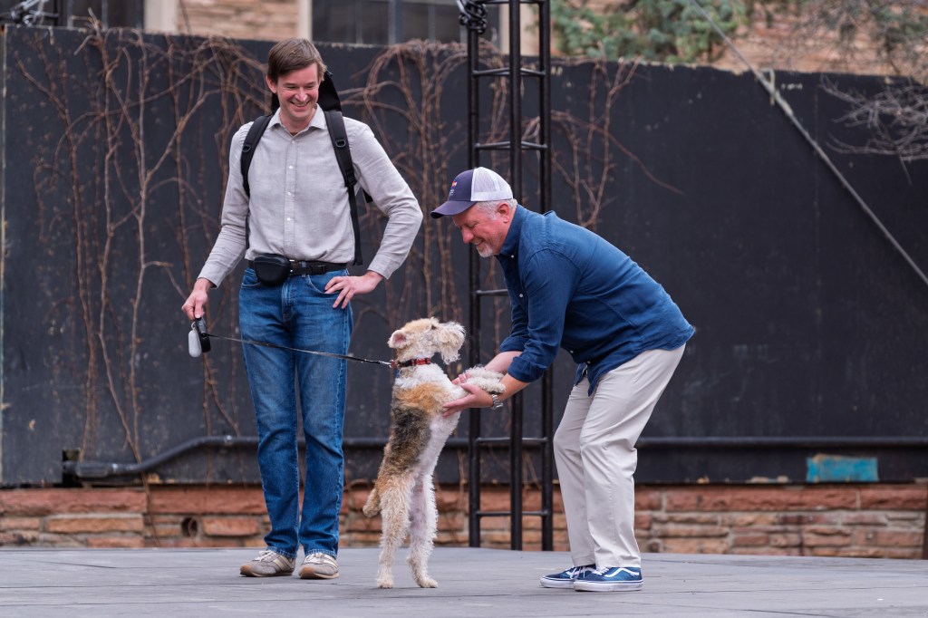 Dog auditions on an outdoor stage