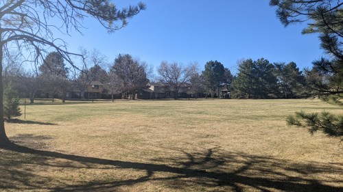 Zoning Updates and Housing Affordability Are Headed to the Ballot in Lakewood