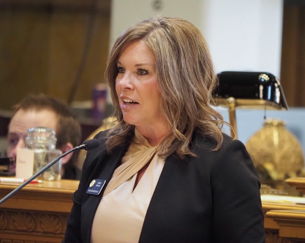 State Representative Brandi Bradley speaks during a House session