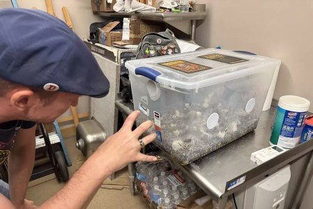 Denver Magic Mushroom Co-Op Fighting to Stay Open in Face of State Closure Orders