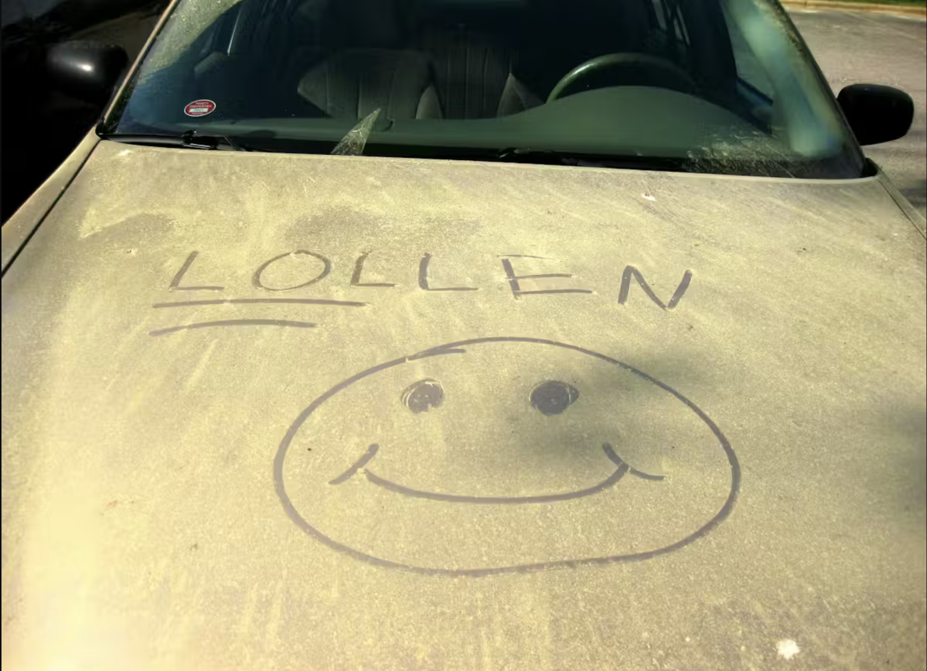 pollen dust takes over the hood of a car