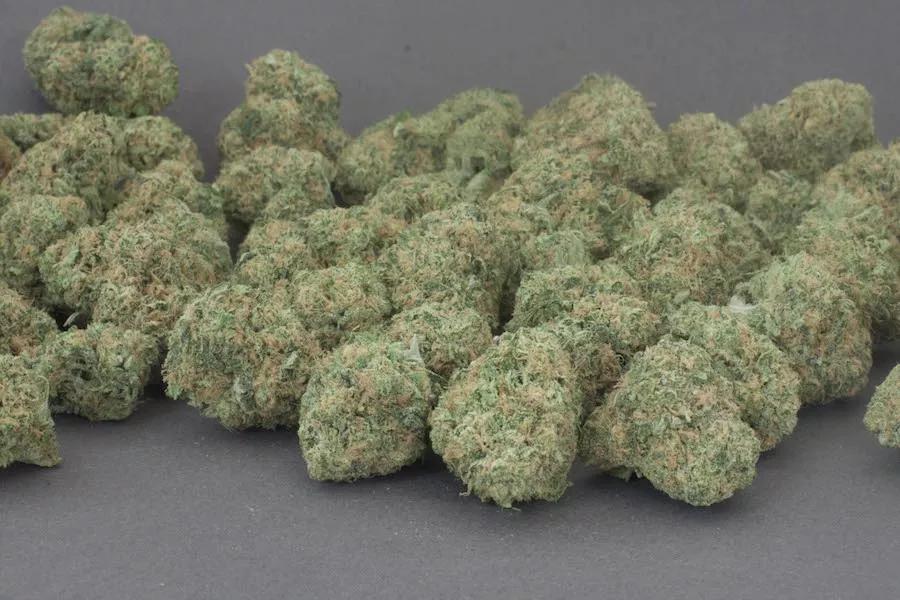 Blue Dream Slipping as Colorado’s Most Popular Strain