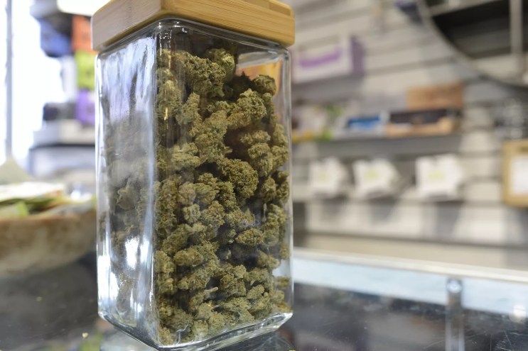 A jar of cannabis flower on display at a Denver dispensary