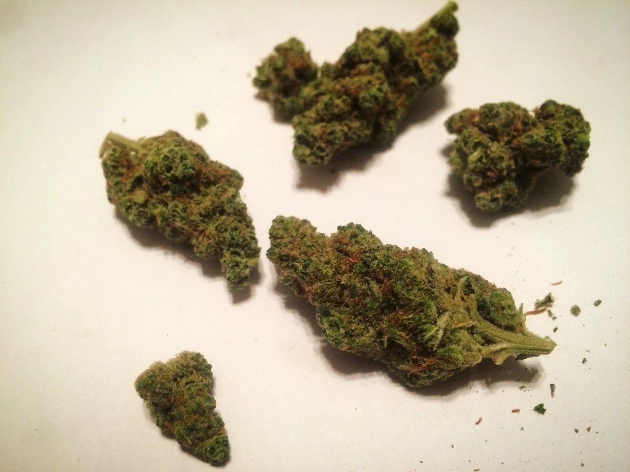 Why Colorado Stoners Love Tangie