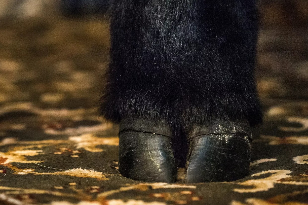 The Seven Best Events on the Culinary Calendar This Week