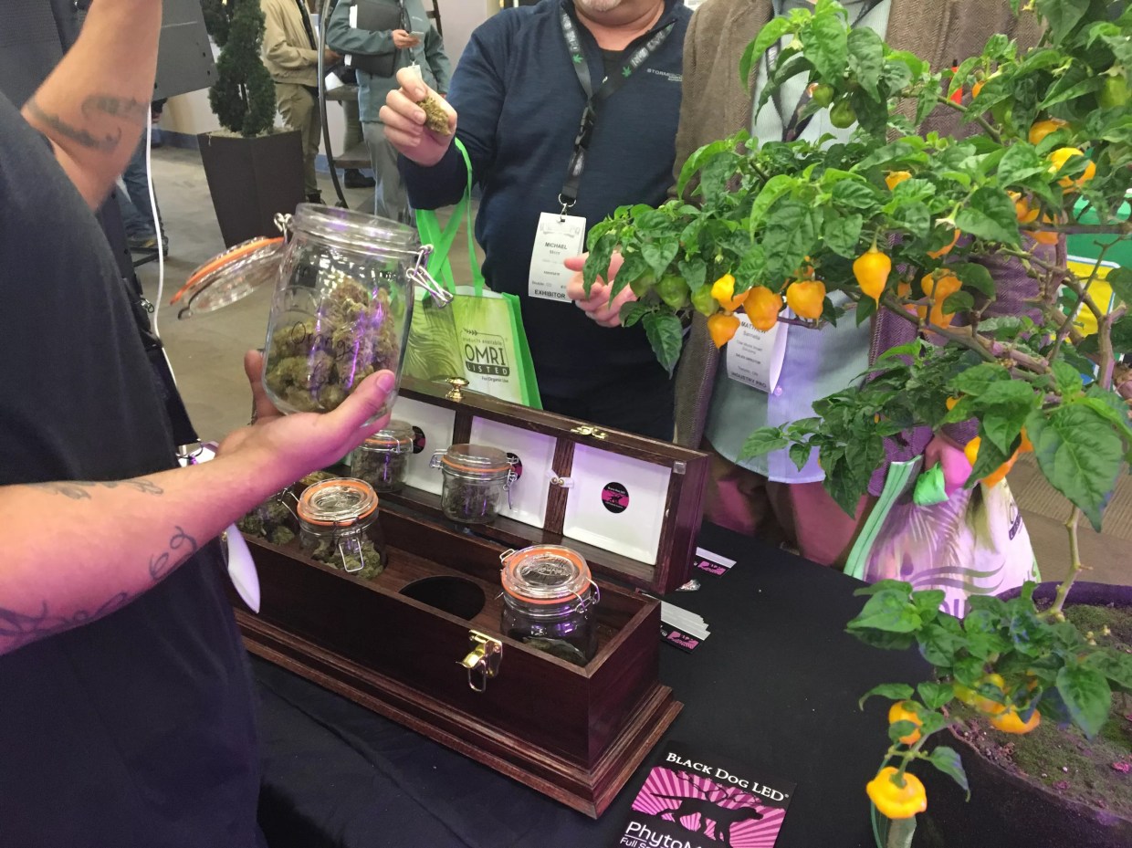 Indo Expo Hosts Fifth Marijuana Trade Show in Denver