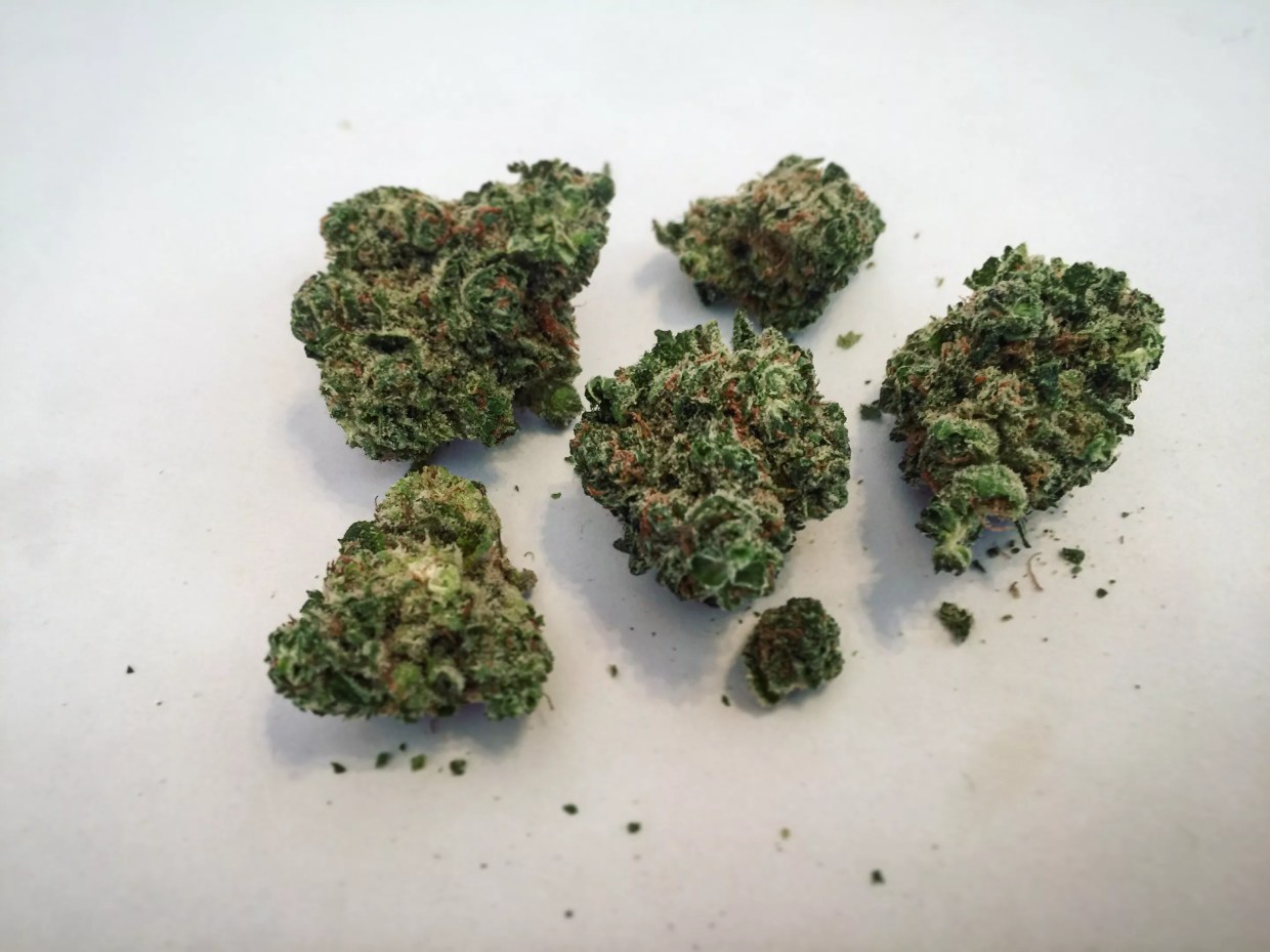 Why Colorado Tokers Love White 99