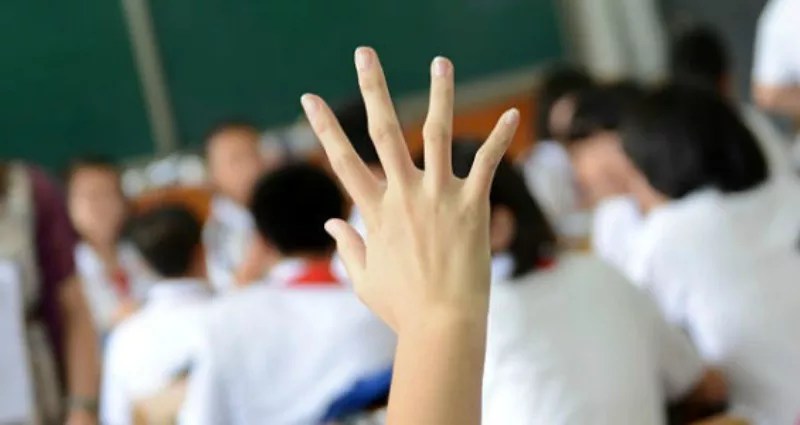 Bull! Pot Revenue Has Definitely Helped Fund Cherry Creek Schools