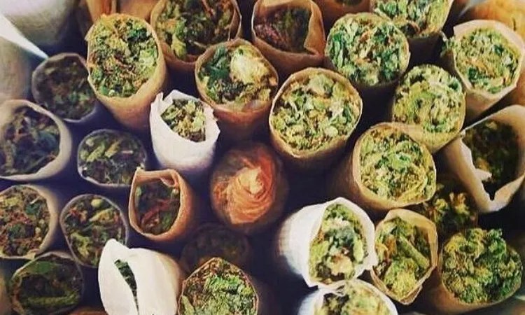 Weed Porn: More Joint Sessions to Commemorate Trump’s Address