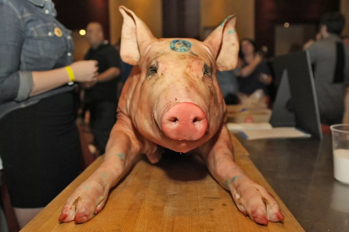 The 21 Best Events in Denver, March 14-20