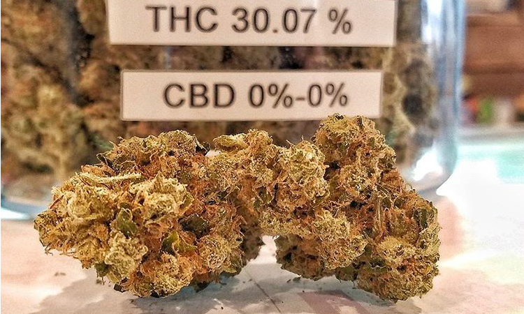 Weed Porn: Ten Dispensary Deals in Denver for St. Patrick’s Day and Beyond