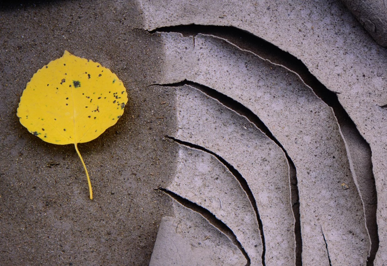 100 Colorado Creatives 3.0: Jim Milmoe