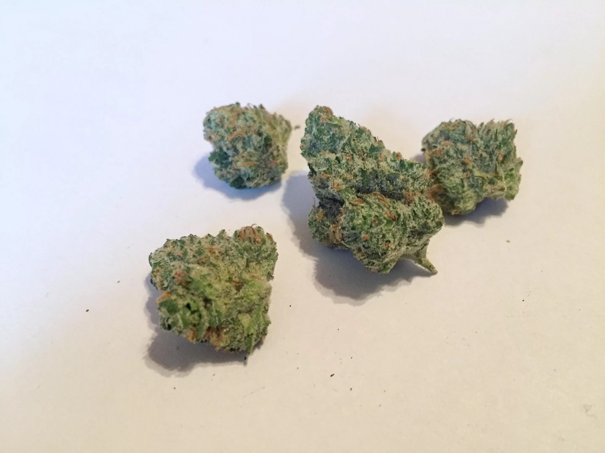 Why Colorado Tokers Love Grapefruit Durban
