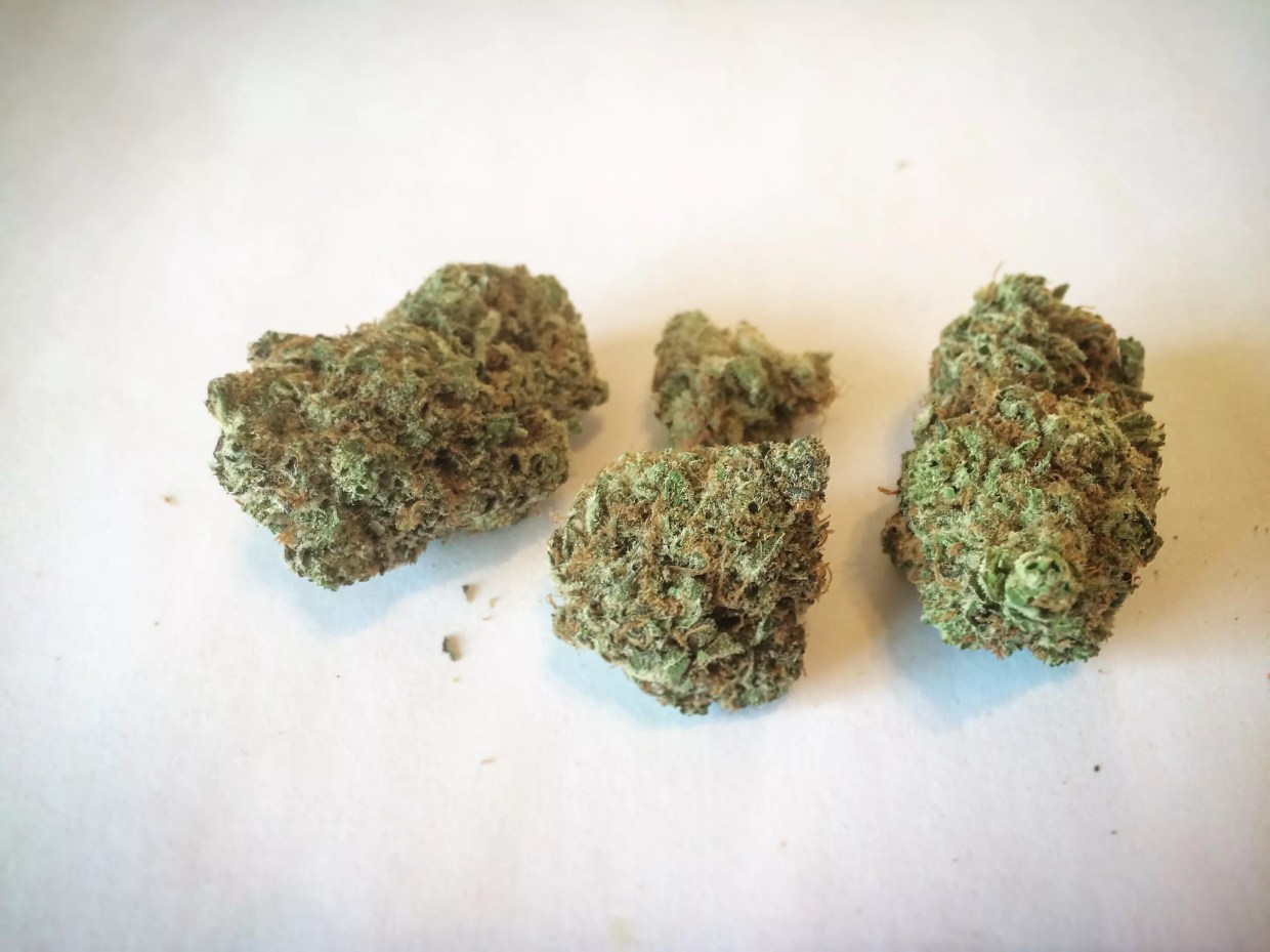 Why Colorado Tokers Love Lavender Jones