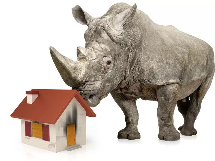 Name Game: Here’s the Lowdown on the RiNo Nickname