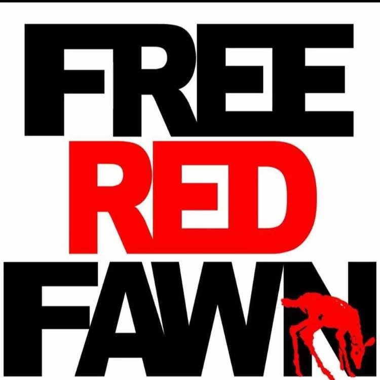 Standing Rock and Red Fawn Fallis: What’s Next and How to Stay Involved