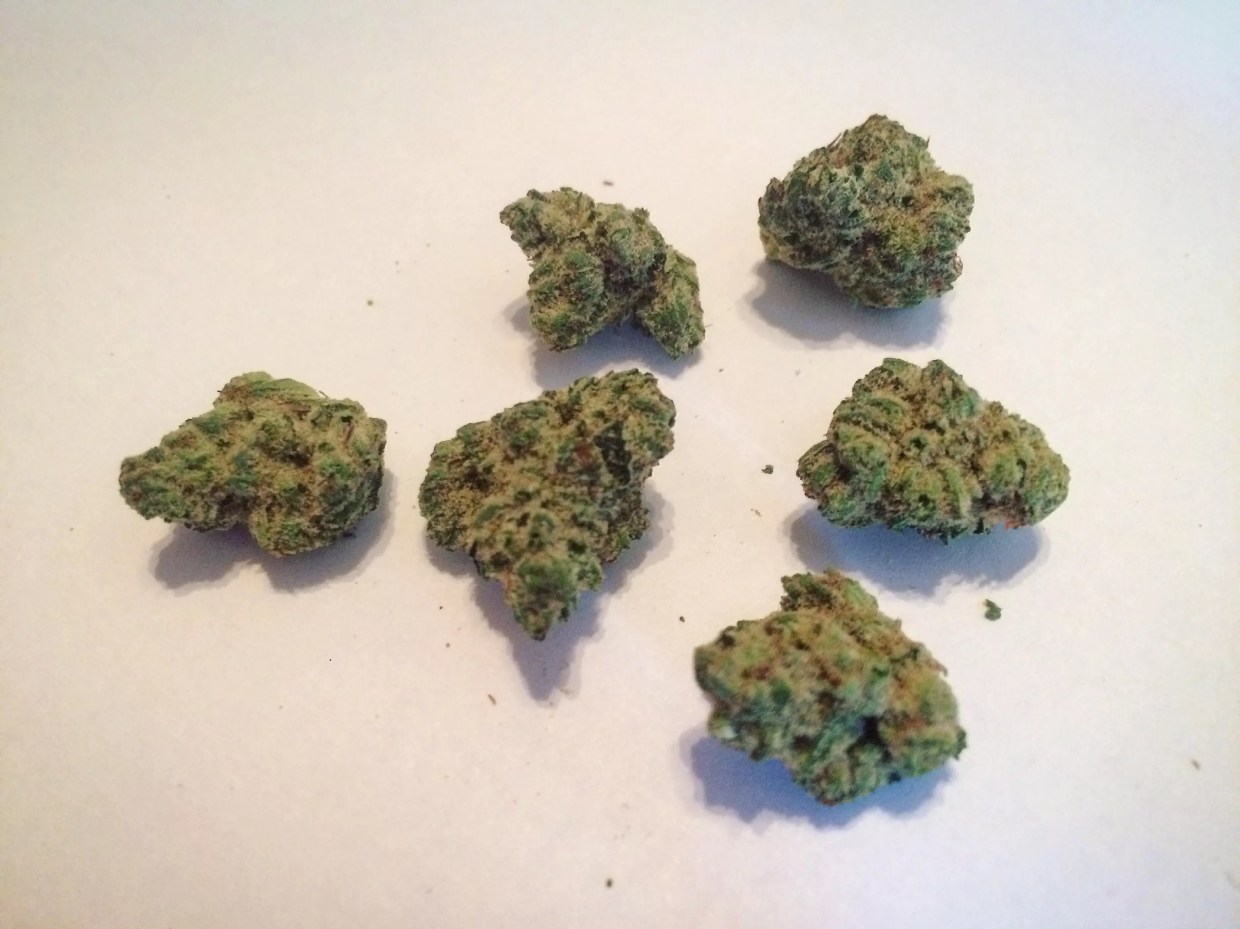 Why Colorado Tokers Love Lee Roy