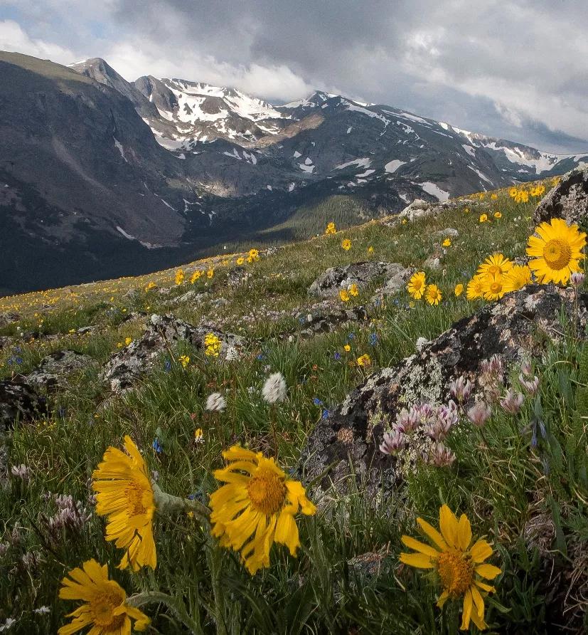 Defying Donald Trump, Diana DeGette Reintroduces Colorado Wilderness Act