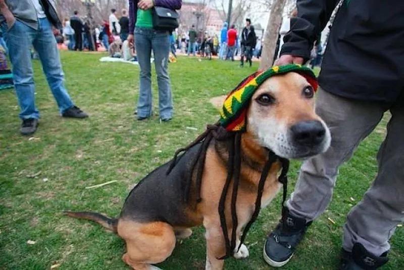 The 21 Best Events in Denver, April 18-April 24, 2017