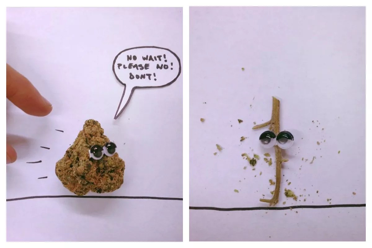 Weed Porn: Best Dispensary Instagrams This Week