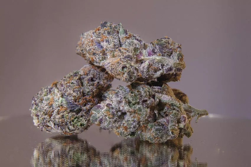 Veritas Cannabis Introduces Four Spring Strains: How Do They Rate?