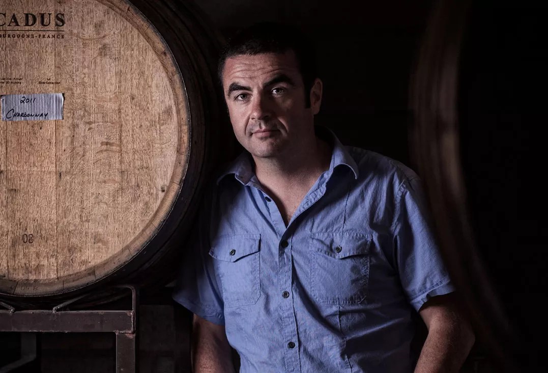 Ben Parsons on Canning Wine, Instant Satisfaction and Infinite Monkey Theorem