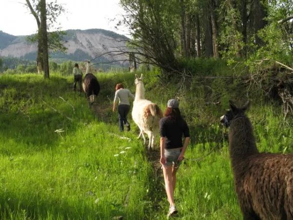 Four Cannabis-Friendly Getaways in Colorado