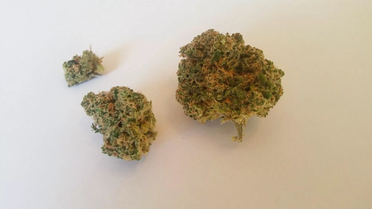 Why Colorado Tokers Love Colombian Gold