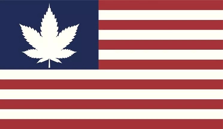 American flag with a marijuana leaf