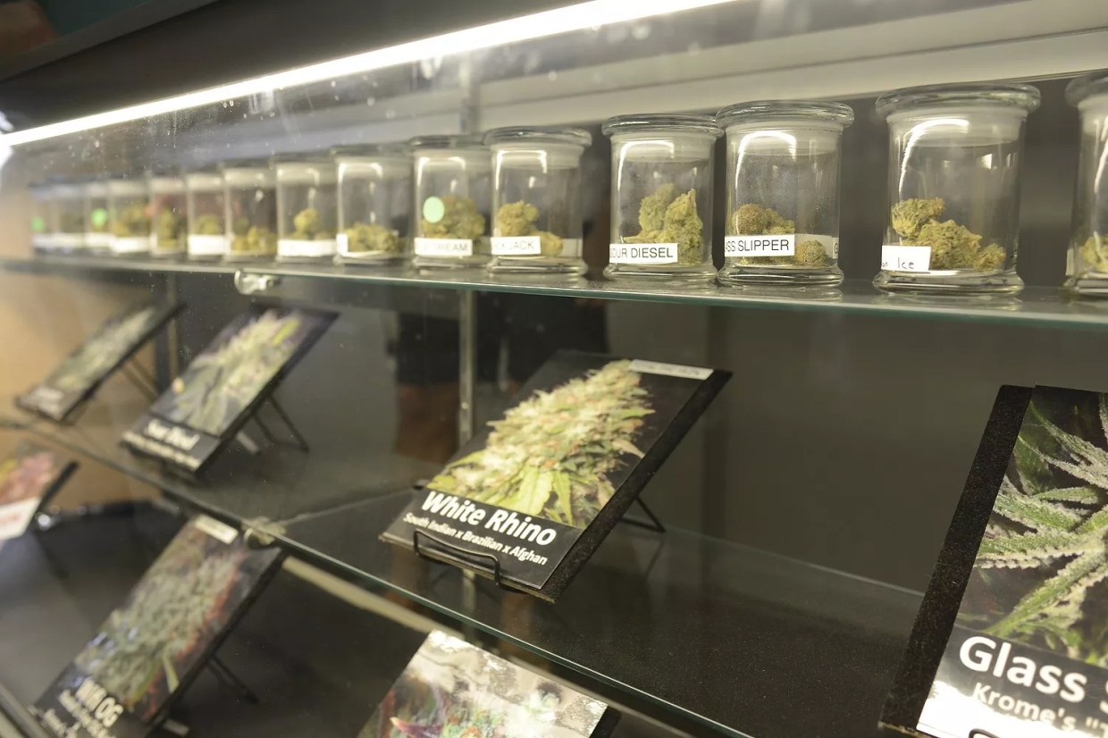 Beat the Heat With These Summertime Sativas