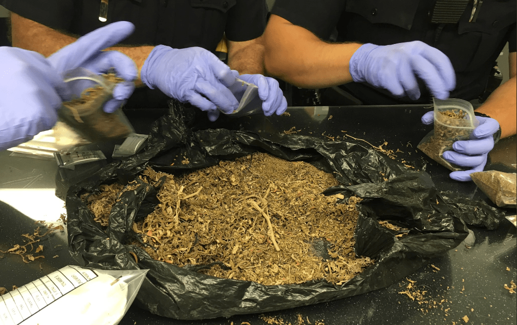 Man Walks Into Lakewood ER With Trash Bag Full of Dirt Weed