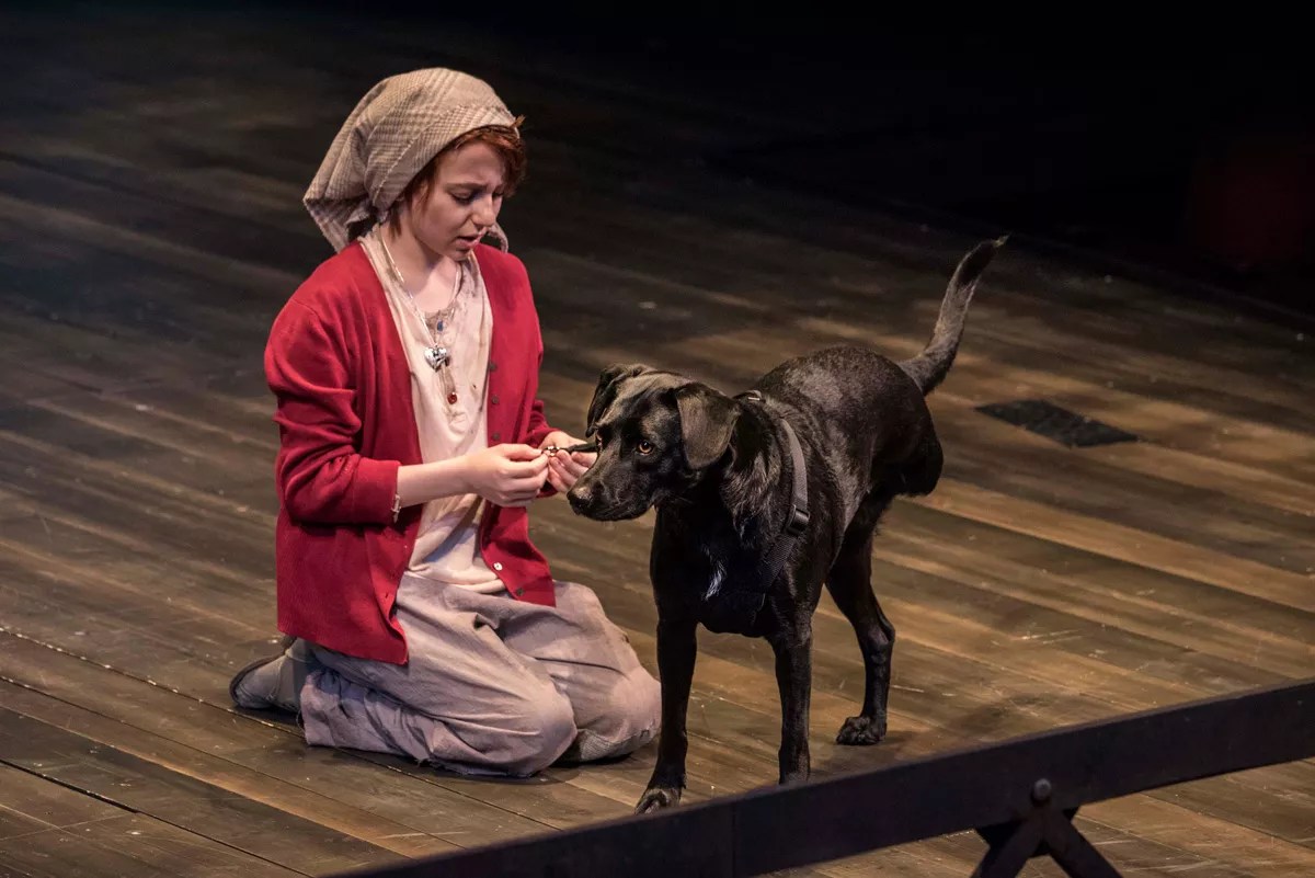 Review: Phamaly Cast Is Ready, Willing and Very Able in <em>Annie</em>