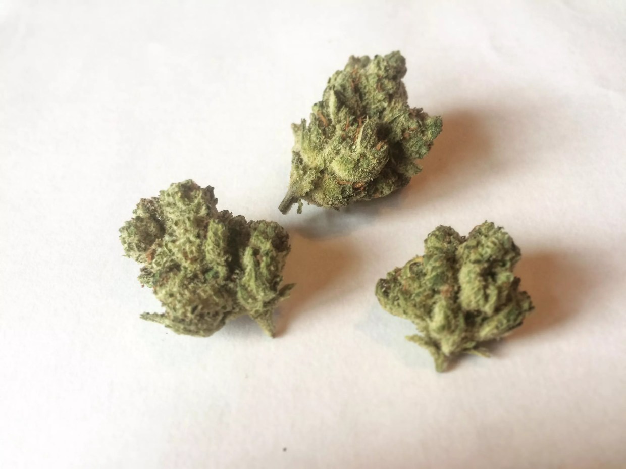 Why Colorado Tokers Love Panama Punch