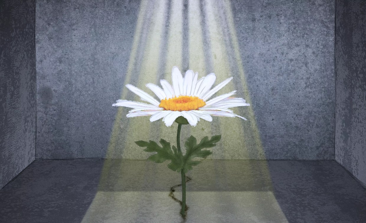 Colorado’s New Prison-Gang Program Draws From Inmate Efforts