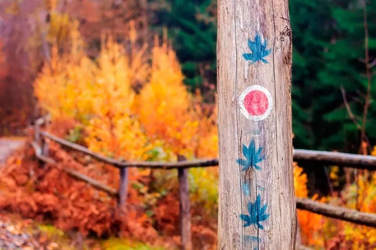 Five Ways to Become a More Eco-Friendly Stoner