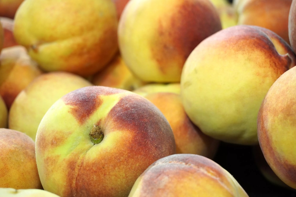 Ten Peachy Summer Finds in Denver Restaurants, Bars and Bakeries