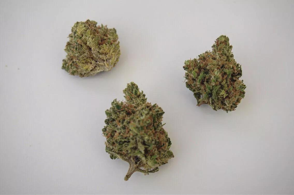 Why Colorado Tokers Love Vanilla Kush
