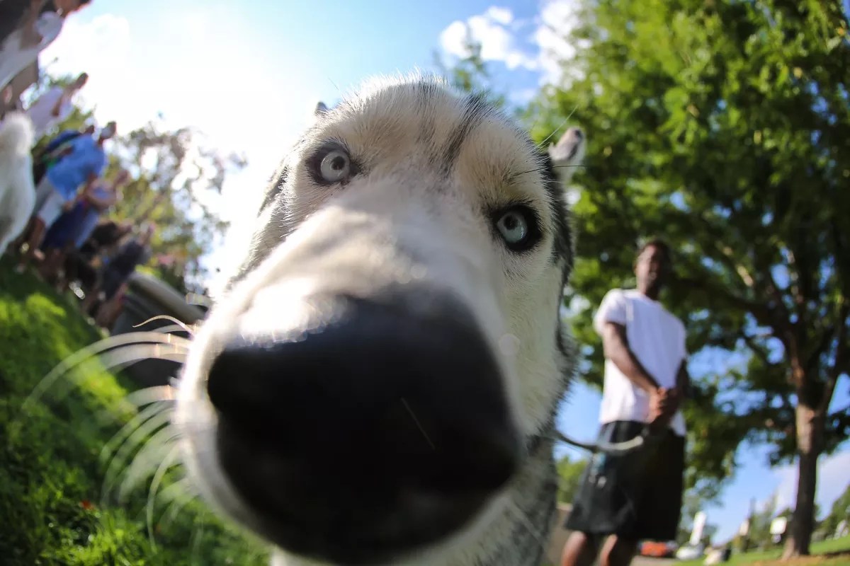 The Nine Tastiest Events on the Culinary Calendar This Week