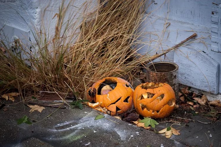 Readers on Tips for Transplants: Twelve Months of Advice for Newcomers